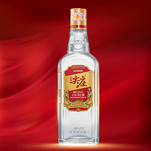 尖庄·大光瓶 500ml×12